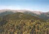 nizketatry80